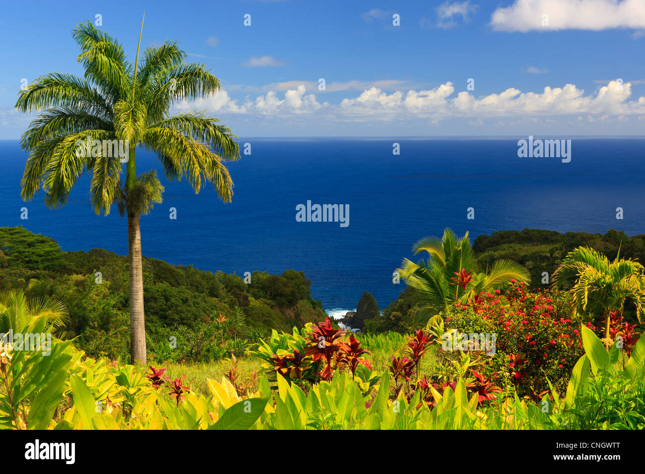 Ocean View From The Garden Of Eden Maui Hawaii Stock Photo