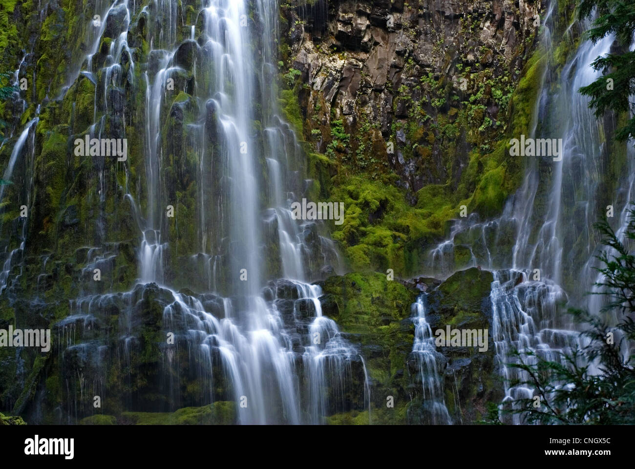 Proxy Falls waterfall in Oregon. Stock Photo