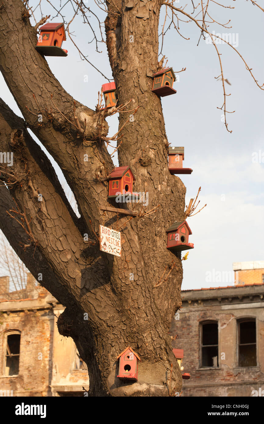 8 Bird nesting boxes in a tree. Bird Hotels or bird village Stock Photo