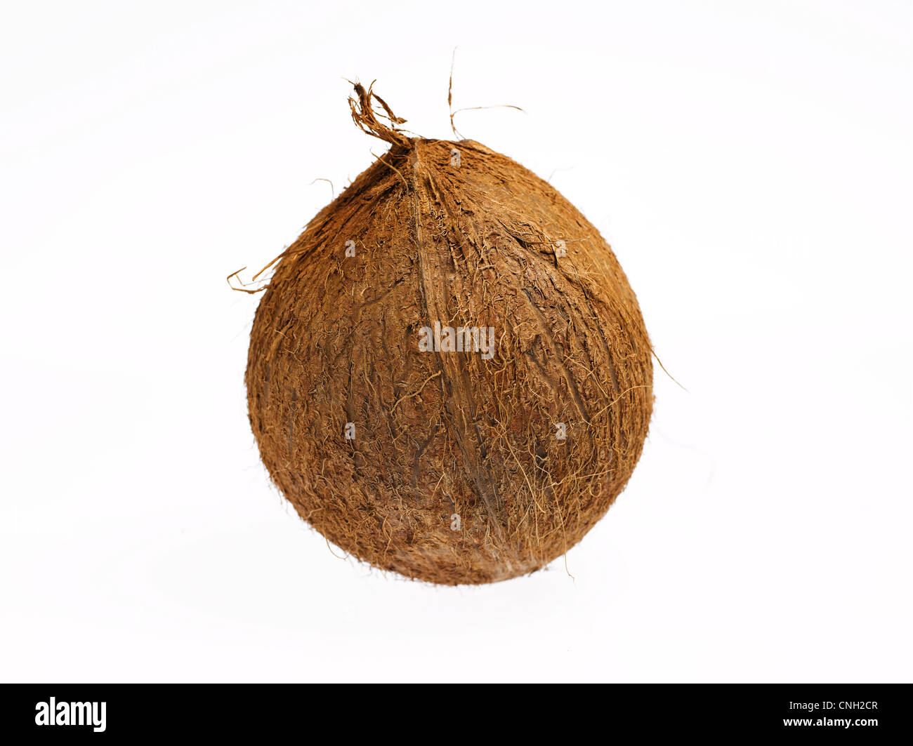 coconut with husk Stock Photo