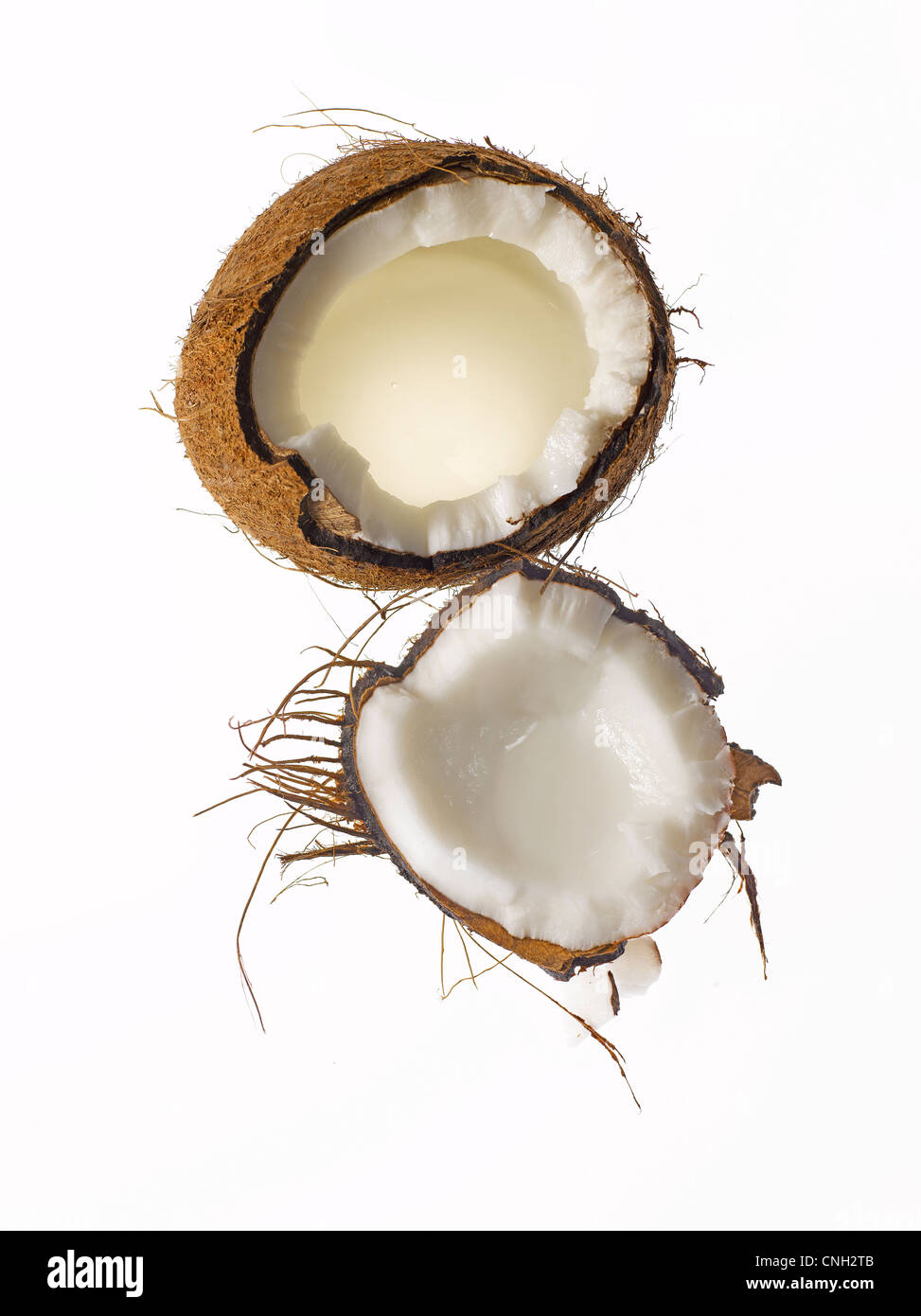 fresh raw coconut shell cut open Stock Photo