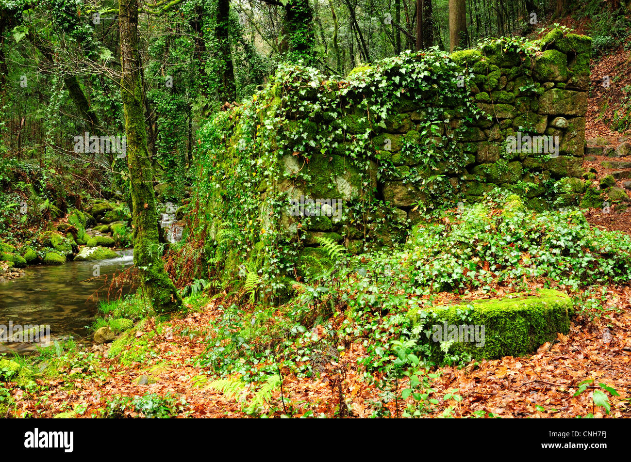 Ancient watermill in Rio da Fraga, Moaña, Pontevedra, Galicia, Spain. Stock Photo