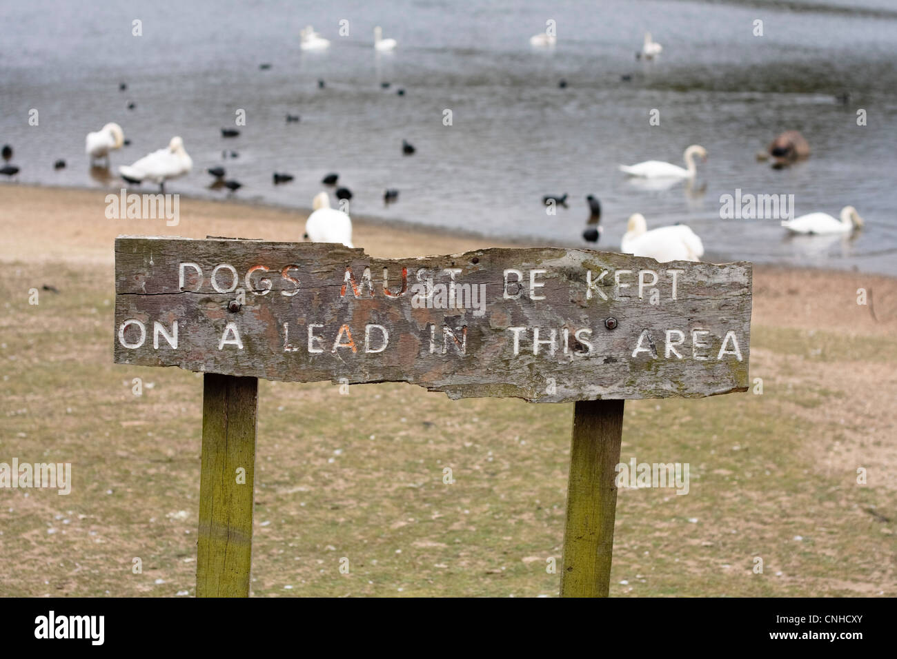 Notice sign at a lake to dog owners to keep their dogs on a lead Stock Photo