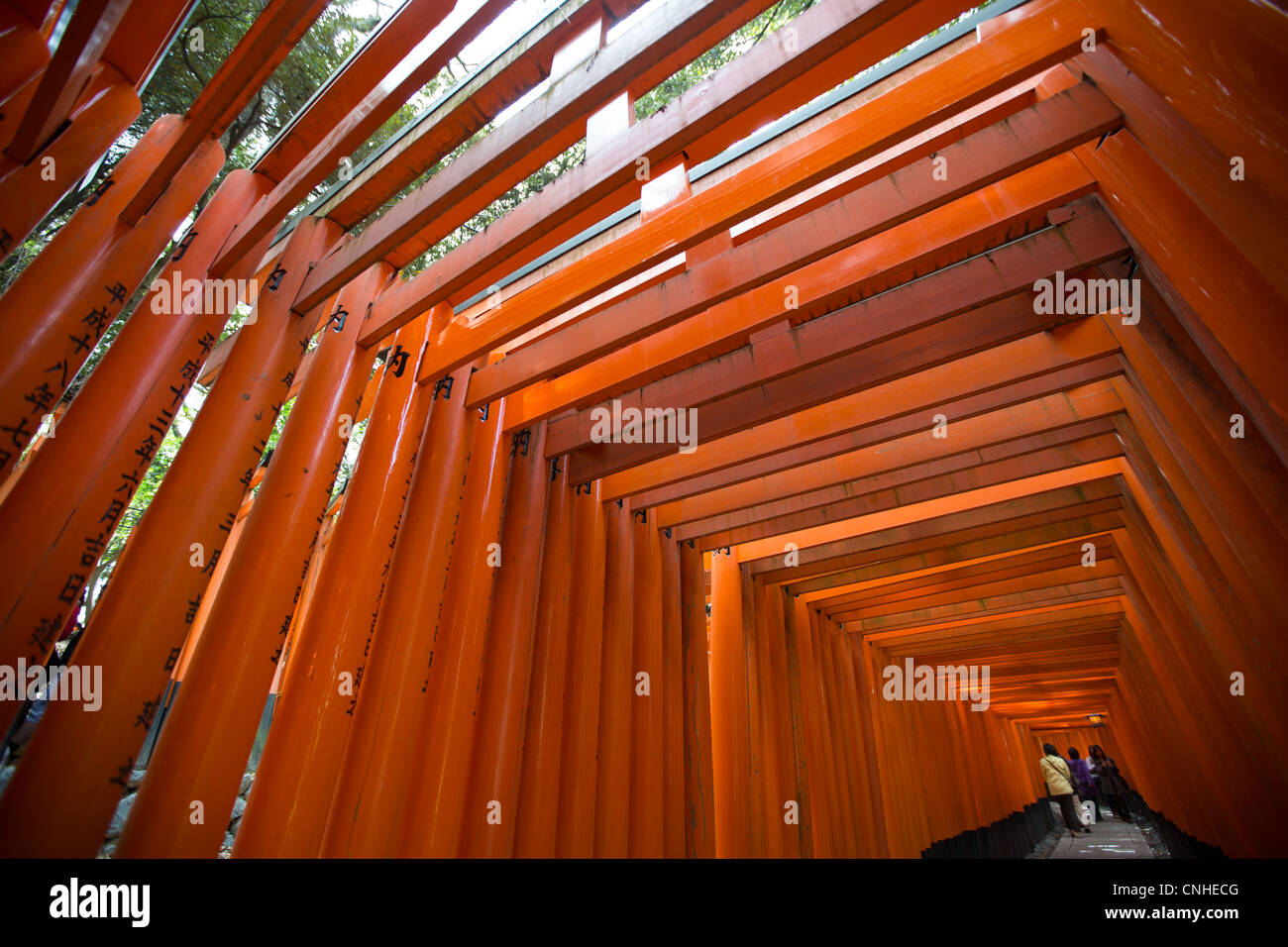 The tunnel and path of red torii gates leading to the Inner Shrine at ...
