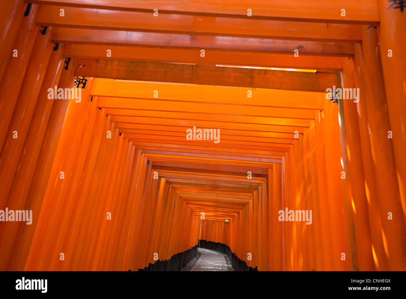The tunnel and path of red torii gates leading to the Inner Shrine at ...
