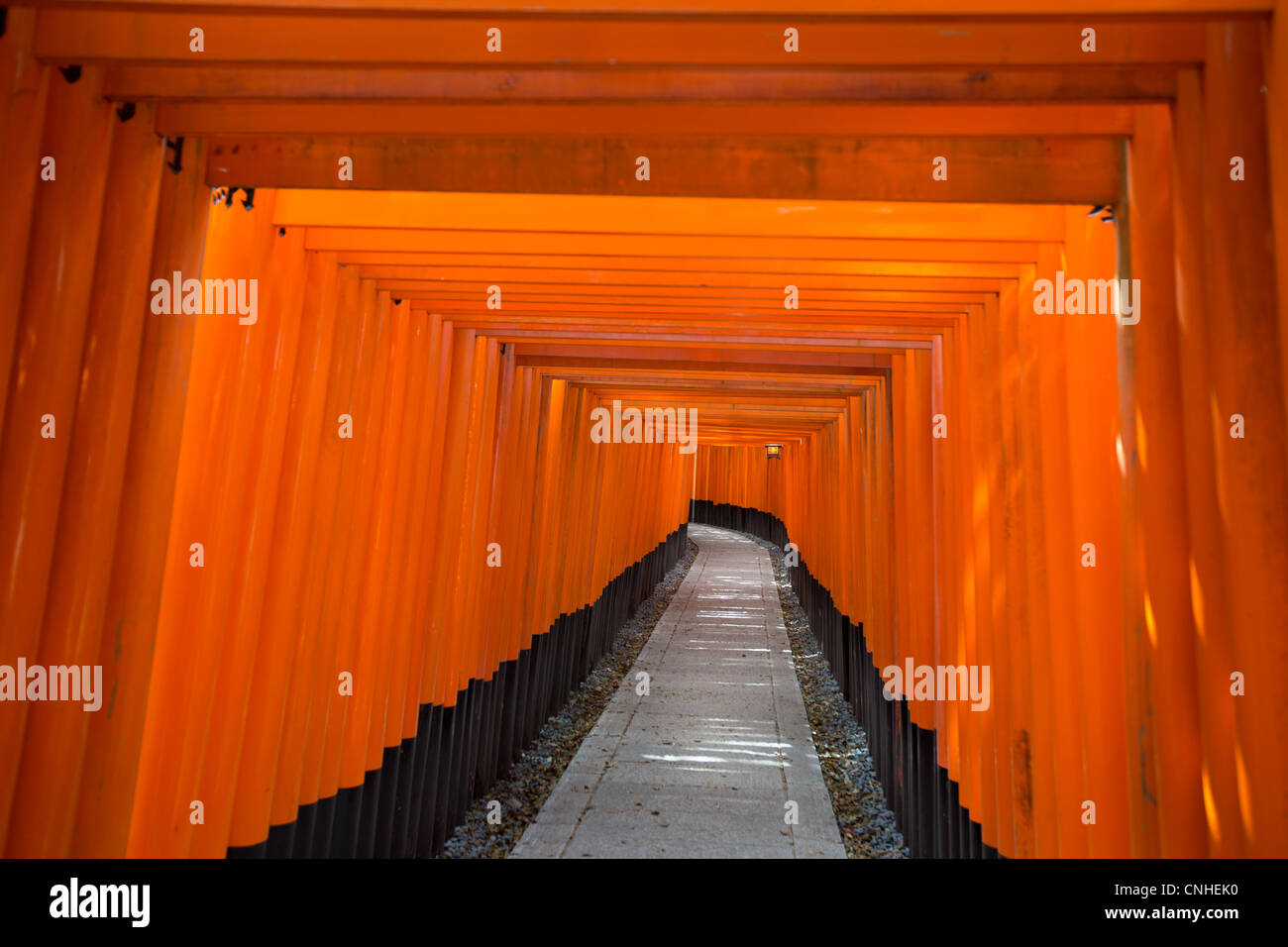 The tunnel and path of red torii gates leading to the Inner Shrine at ...