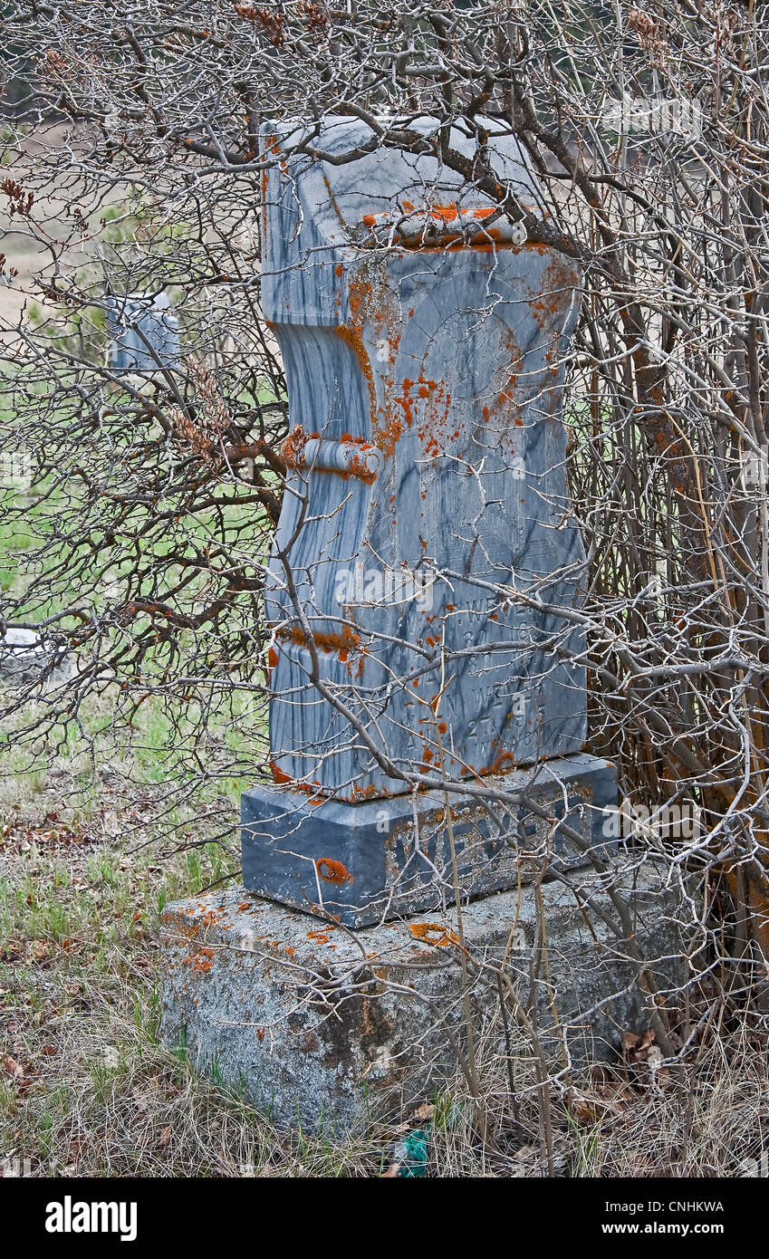 This large old gravestone is in a hidden pioneer cemetery in central Washington and overgrown with a large bramble bush. Stock Photo