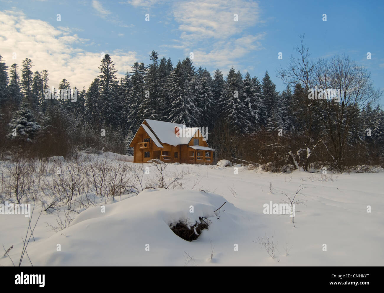 a wooden house is in the winter forest Stock Photo - Alamy