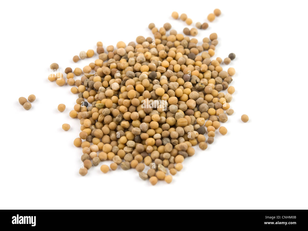 grains of mustard are isolated on white Stock Photo