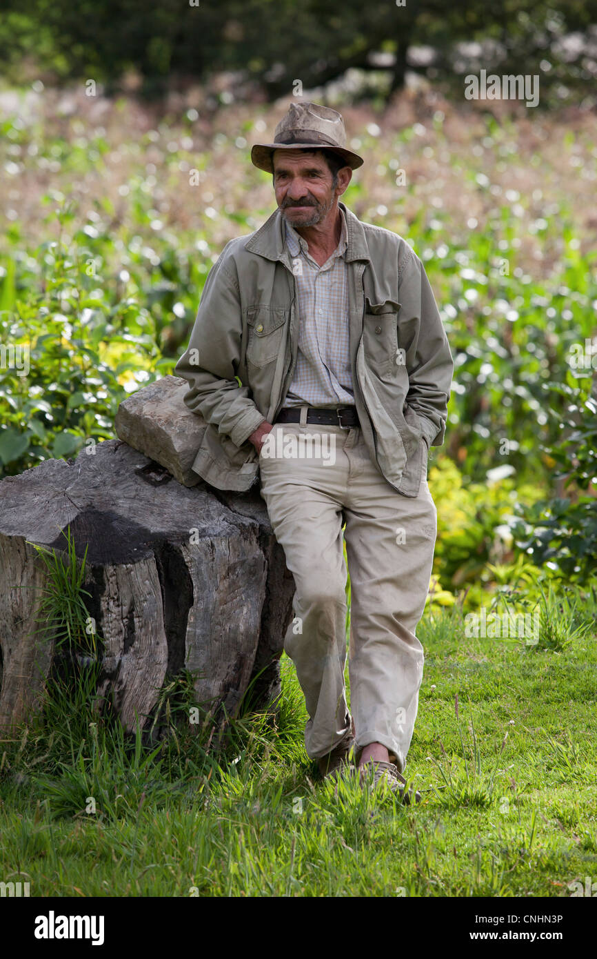 A frowning senior man leaning against a rock Stock Photo - Alamy