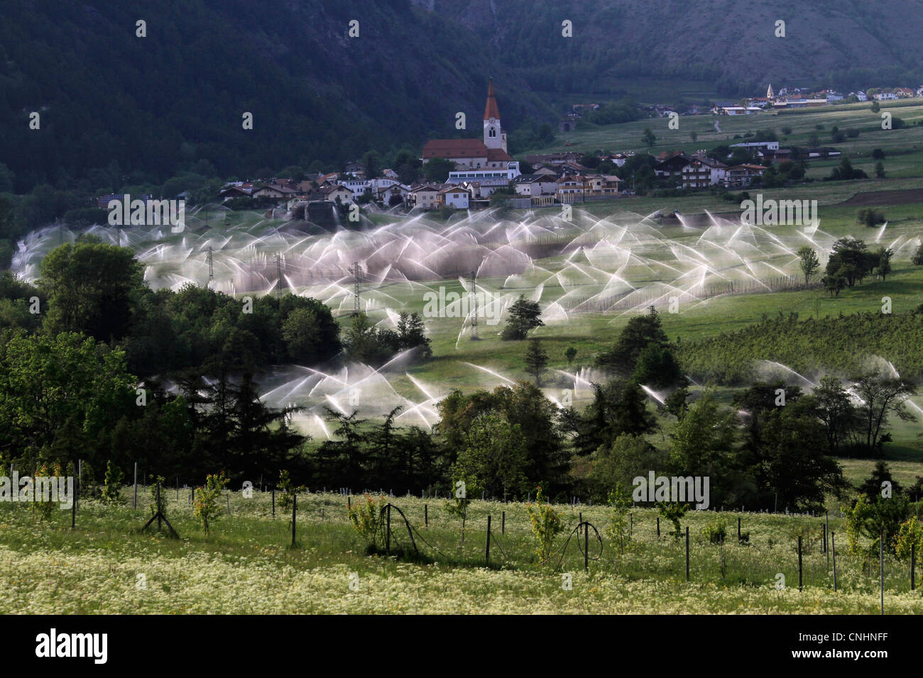 Sprinklers in Vinschgau valley, South Tirol, Italy Stock Photo
