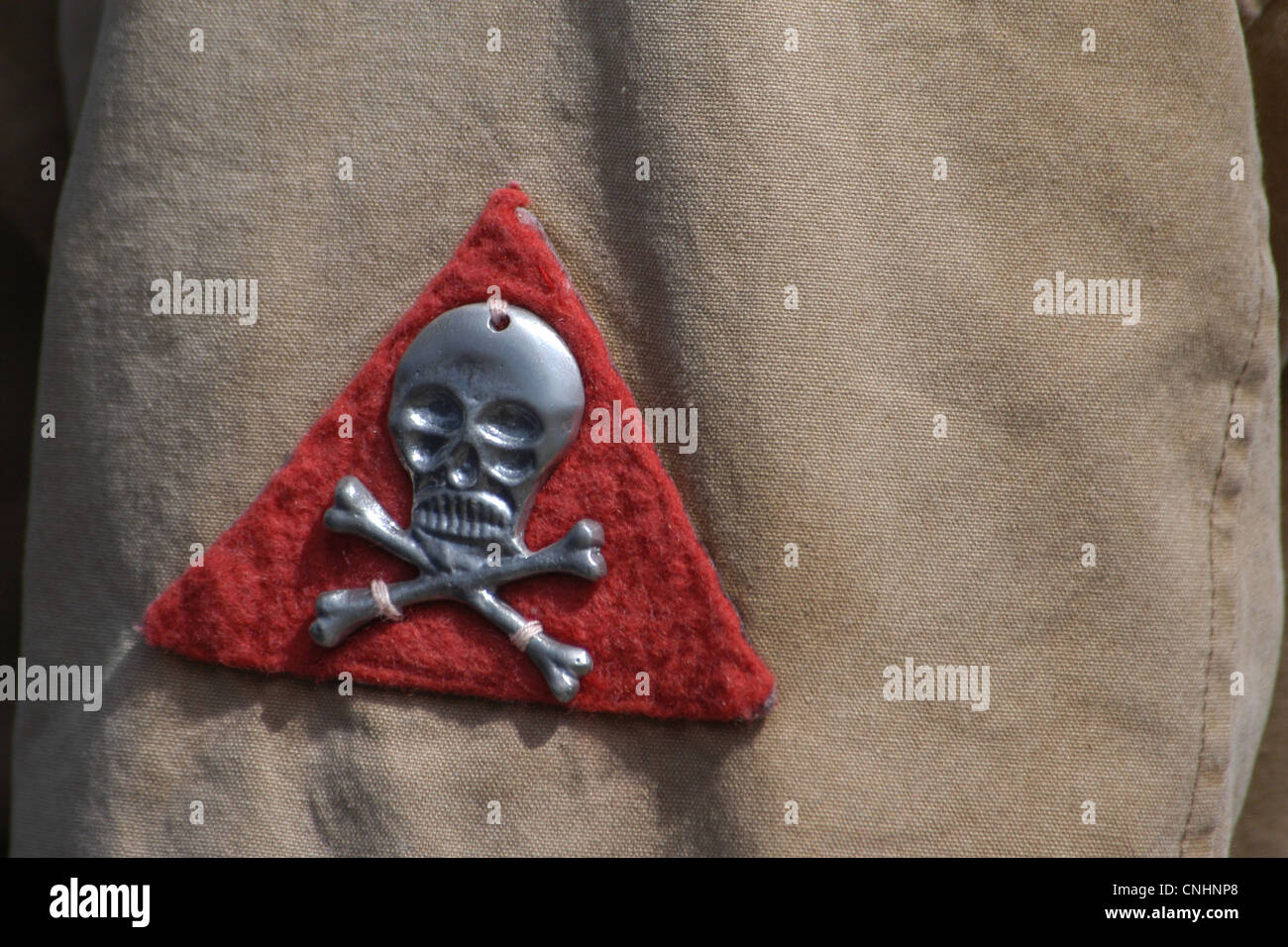 Death's head. Totenkopf. Emblem of the Czechoslovak Legions in Russia during the Russian Civil War. Stock Photo