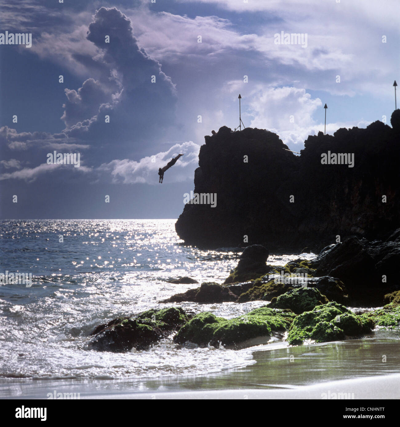 A silhouetted person diving off a cliff, Maui, Hawaii Stock Photo Alamy