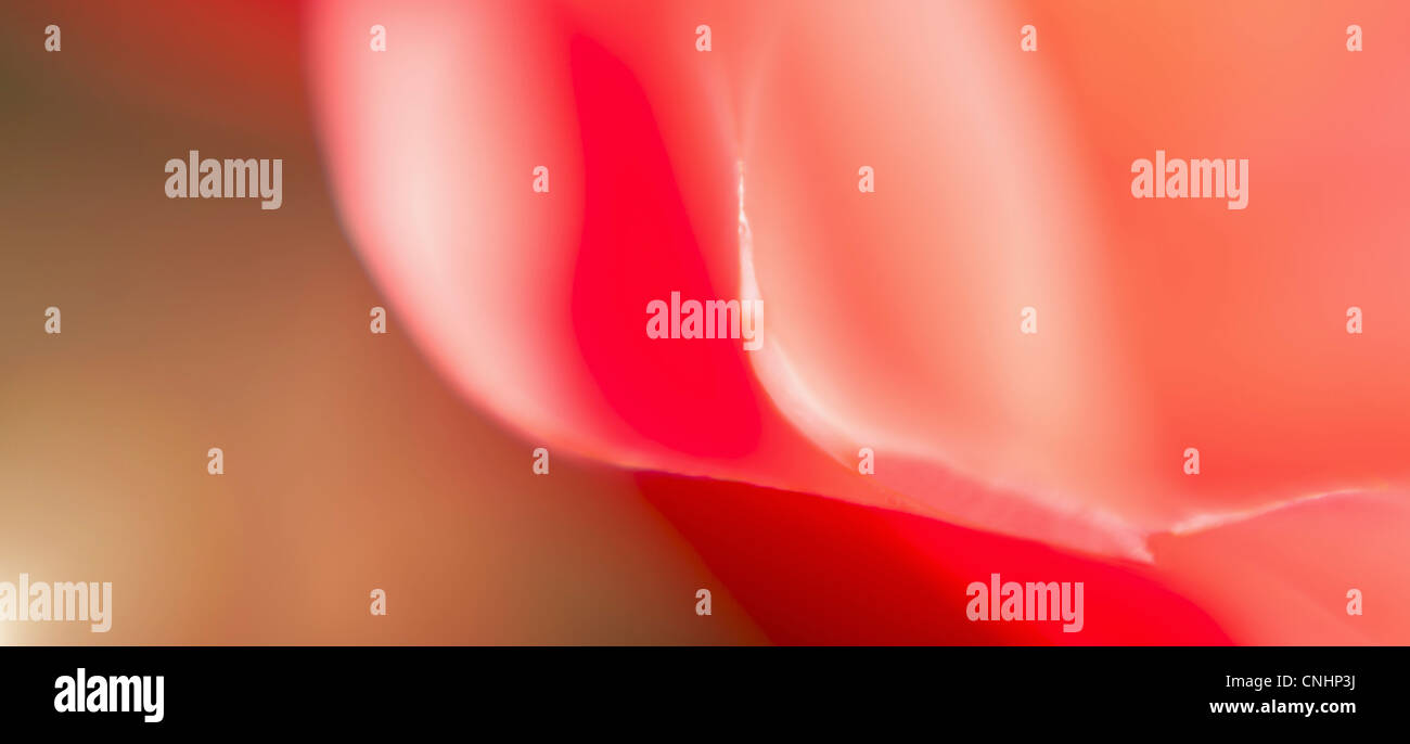 Abstract colored forms and light Stock Photo