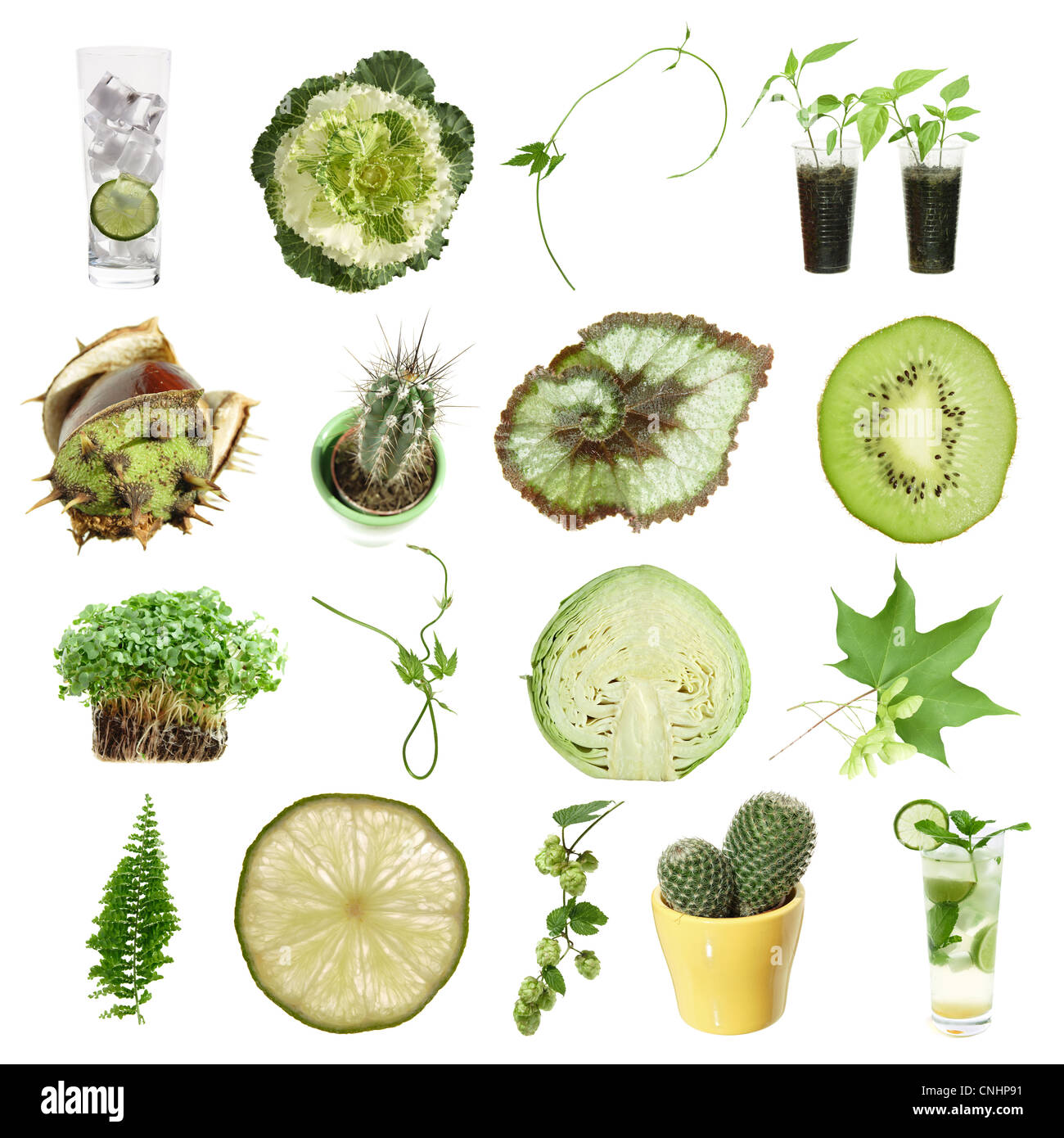 collection of green objects isolated on white background Stock Photo