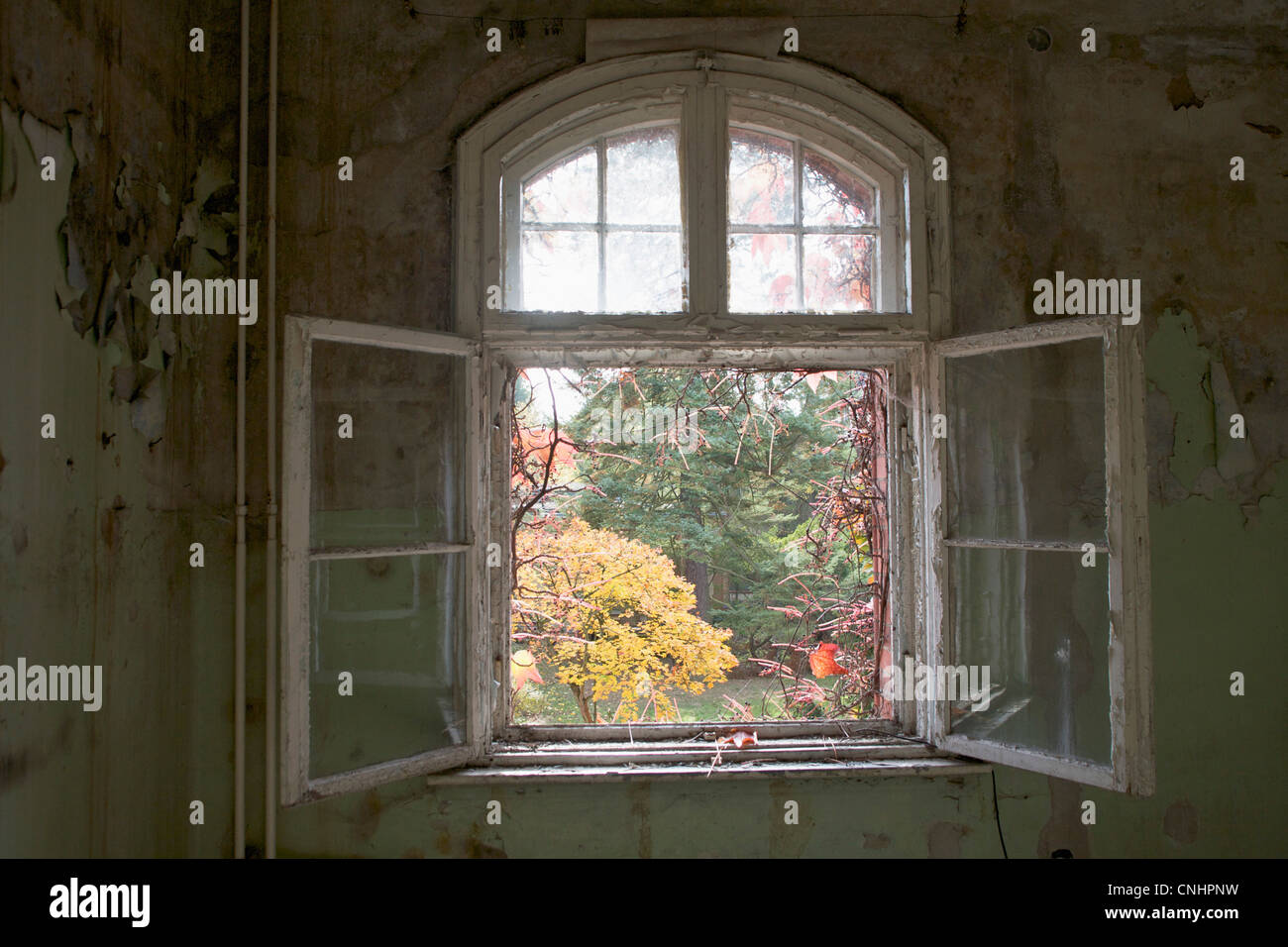 An open window in an abandoned building, Beelitz-Heilstaetten, Germany Stock Photo