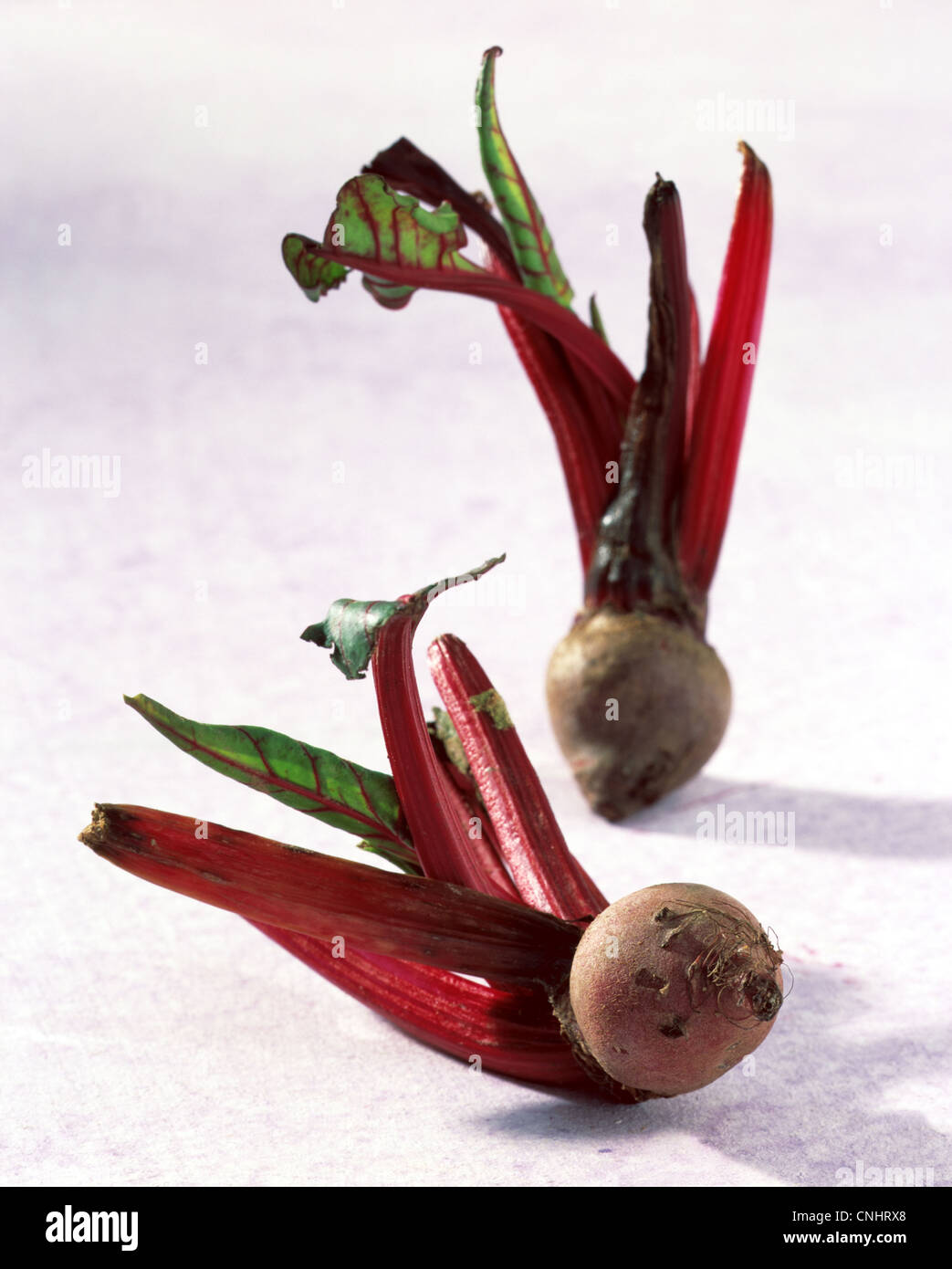 Still: mini - vegetables: beetroot Stock Photo