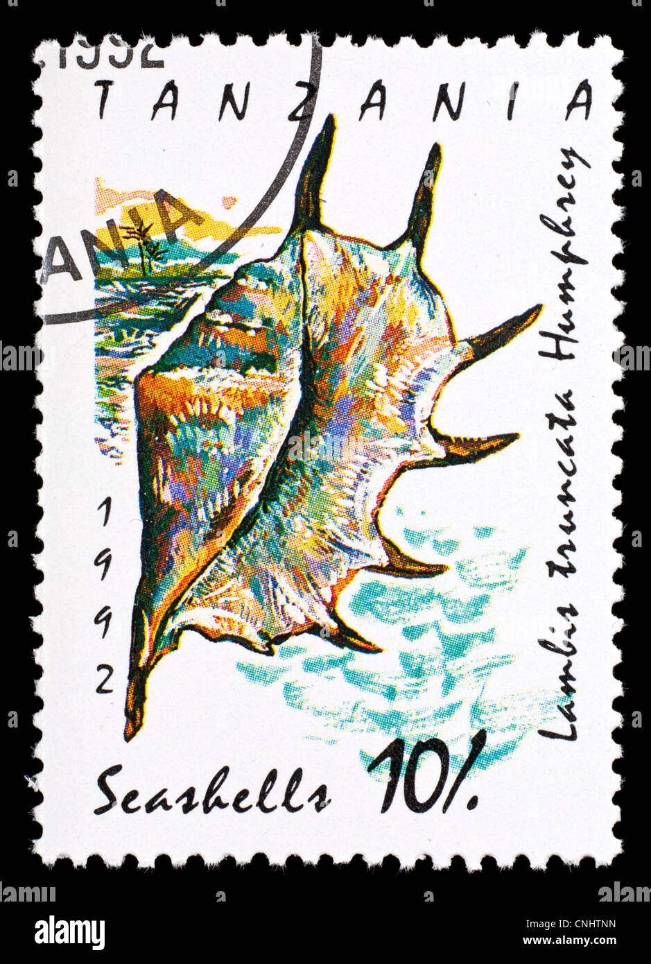 Postage stamp from Tanzania depicting a seashell (Lambis truncata Humphrey) Stock Photo