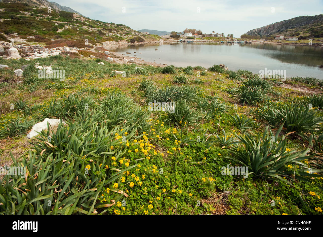 Knidos ancient city ruins small harbor Datça Turkey Stock Photo - Alamy