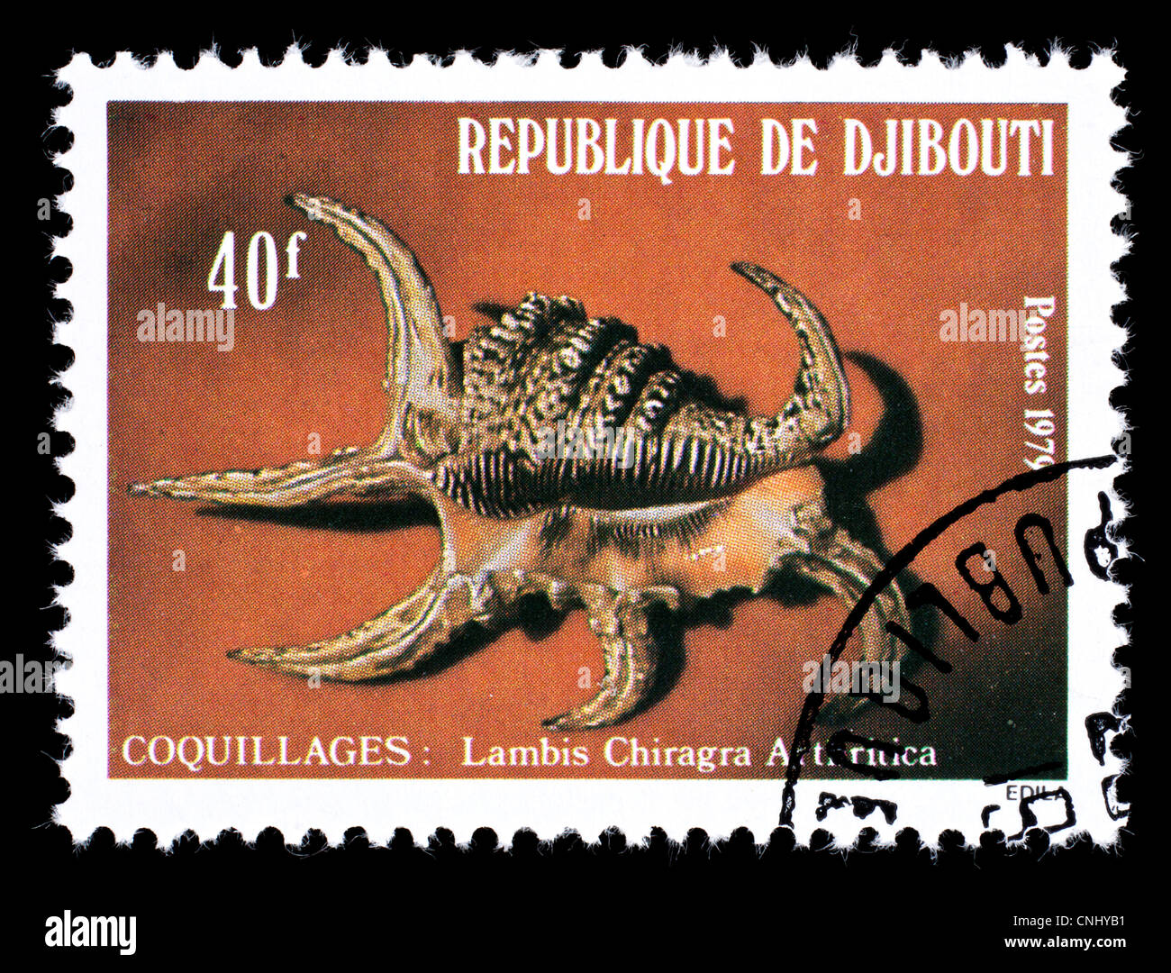 Postage stamp from Djibouti depicting a sea snail, arthritic spider conch (Lambis chiragra arthritica) Stock Photo