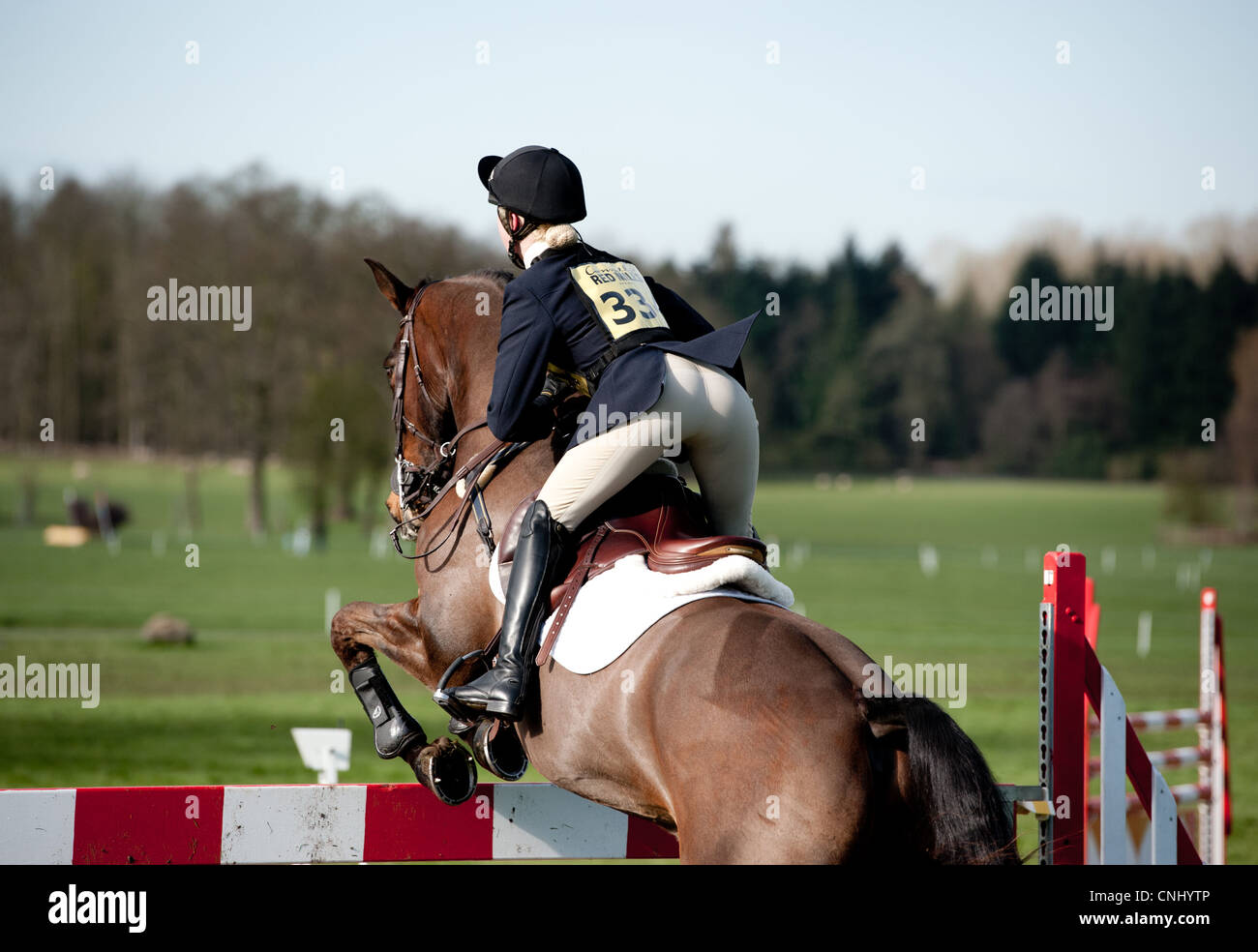 Horse Show Jumping Stock Photo