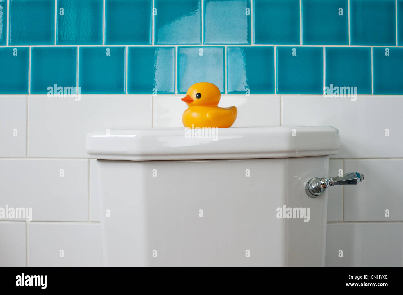 Rubber duck on toilet Stock Photo