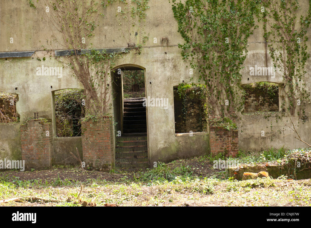 Ruins of the Chilworth gunpowder mills, Chilworth, Surrey, UK Stock