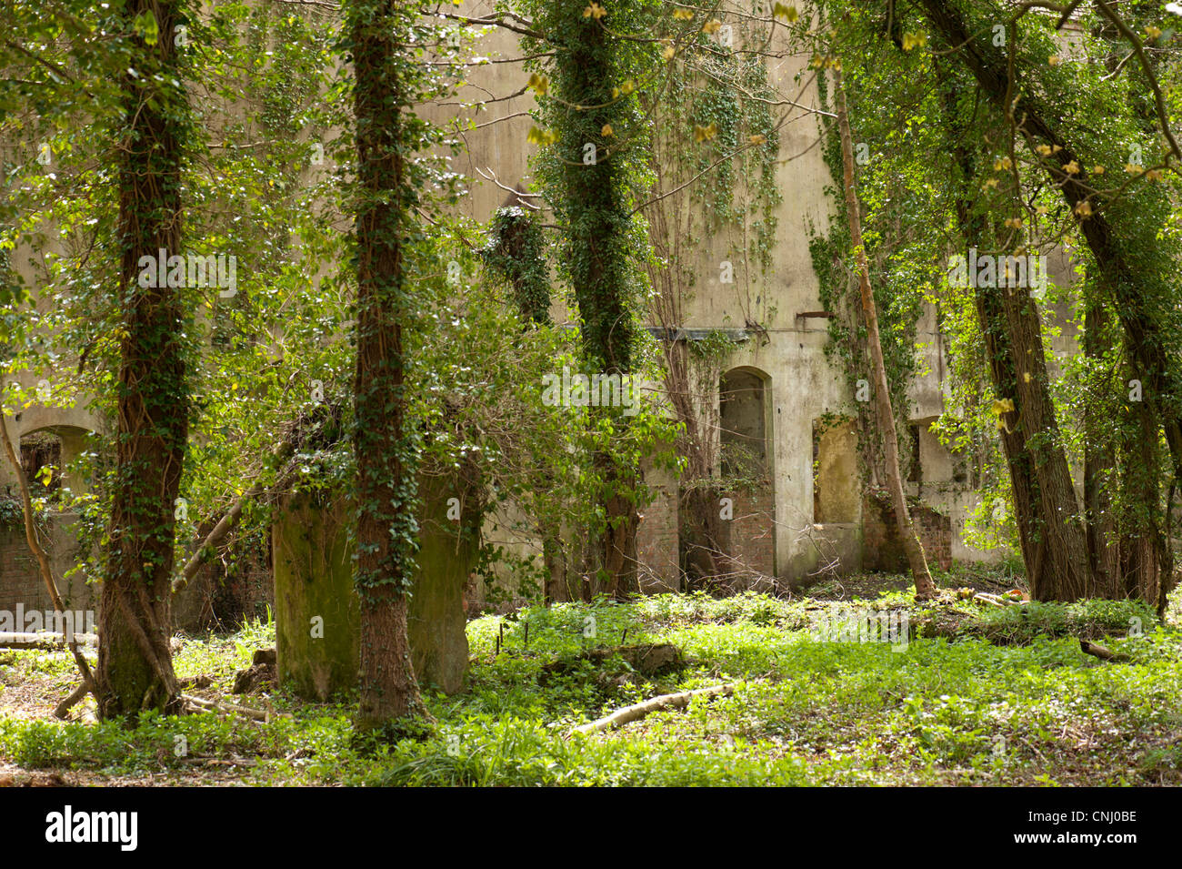 Ruins of the Chilworth gunpowder mills, Chilworth, Surrey, UK Stock