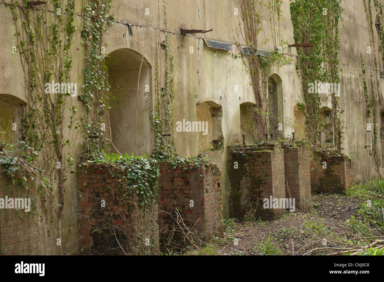 Ruins of the Chilworth gunpowder mills, Chilworth, Surrey, UK Stock