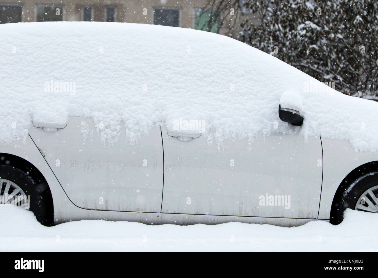 cars covered with snow after a heavy snowfall in a city Stock Photo Alamy