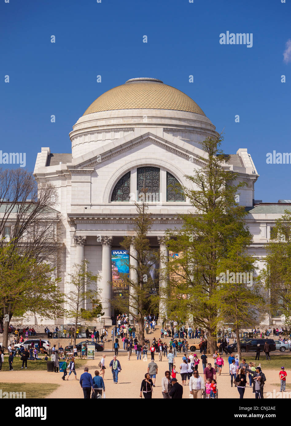 WASHINGTON, DC, USA - Smithsonian Museum of Natural History. Stock Photo
