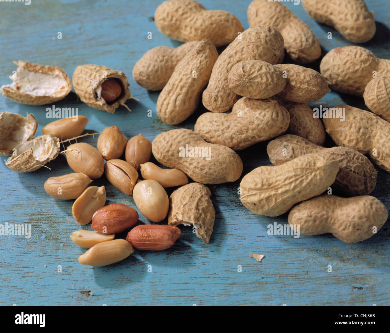 Still Peanuts, with and without shell Stock Photo Alamy