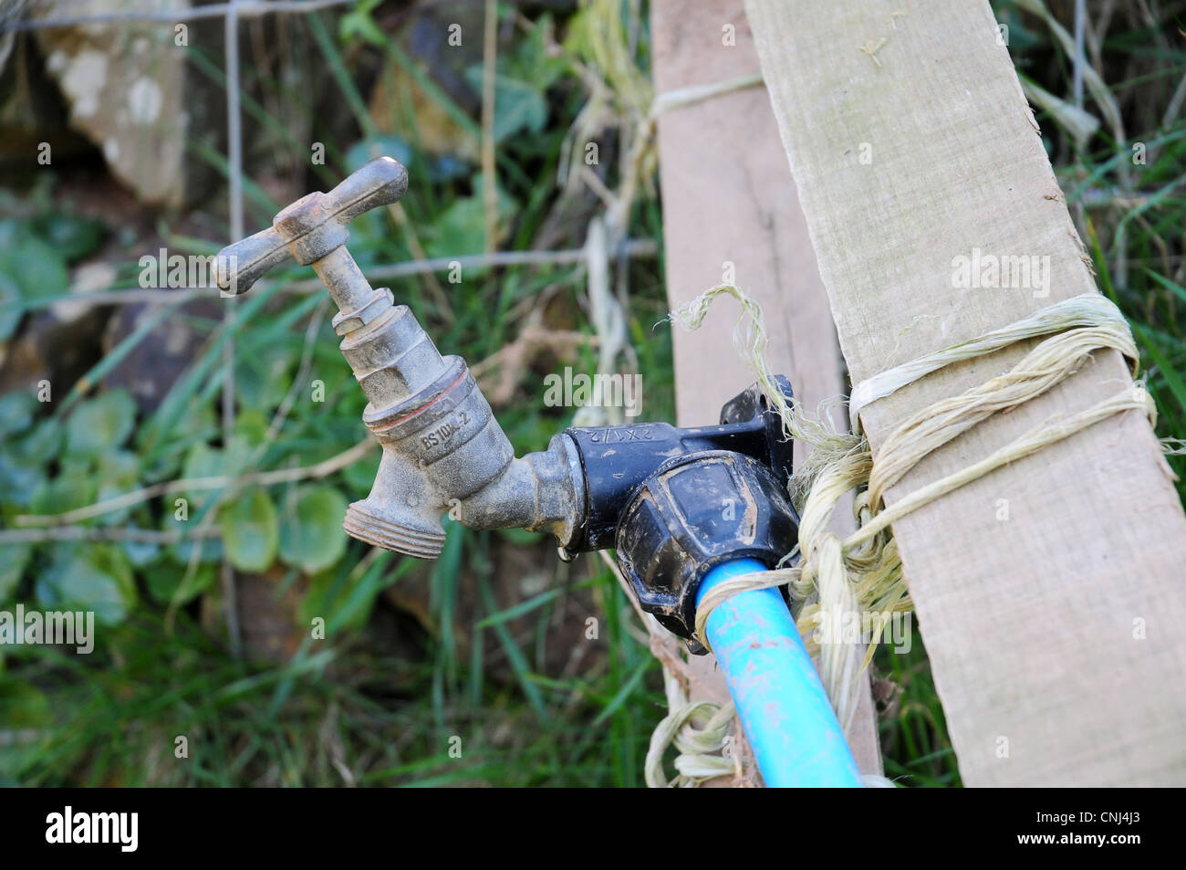 Tap placed temporarily in fields to give animals water some distance from main farm buildings. Stock Photo