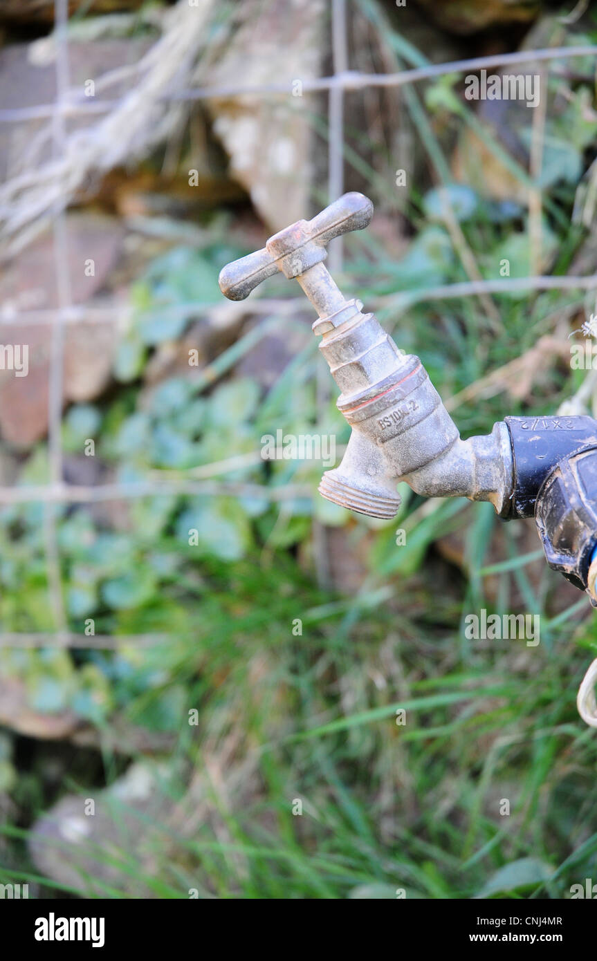 Tap placed temporarily in fields to give animals water some distance from main farm buildings. Stock Photo
