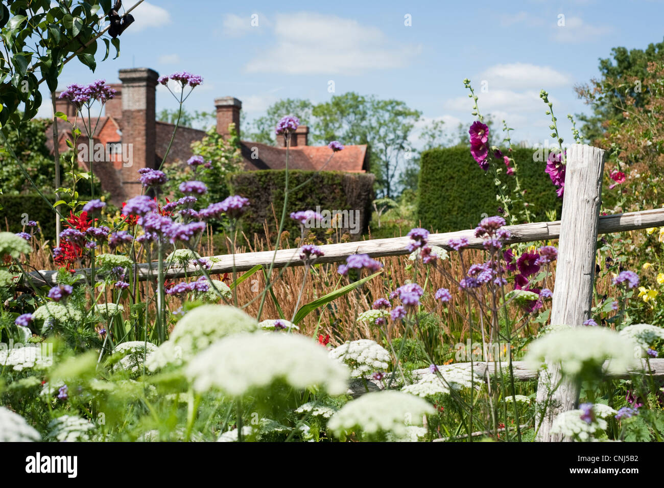 Garden fence with hollyhocks hi-res stock photography and images - Alamy