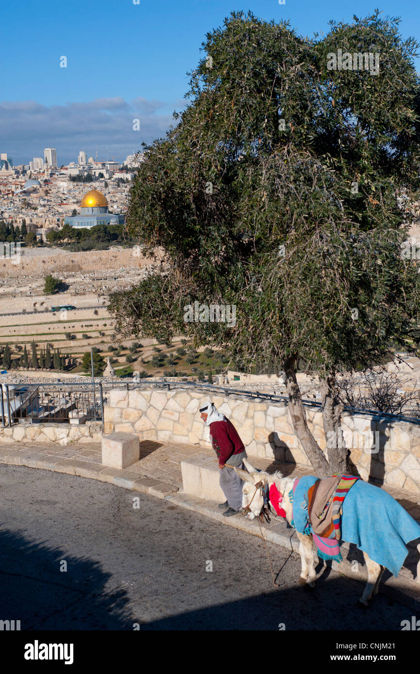 Middle East Israel Old City of Jerusalem from the Mount of Olives - man ...