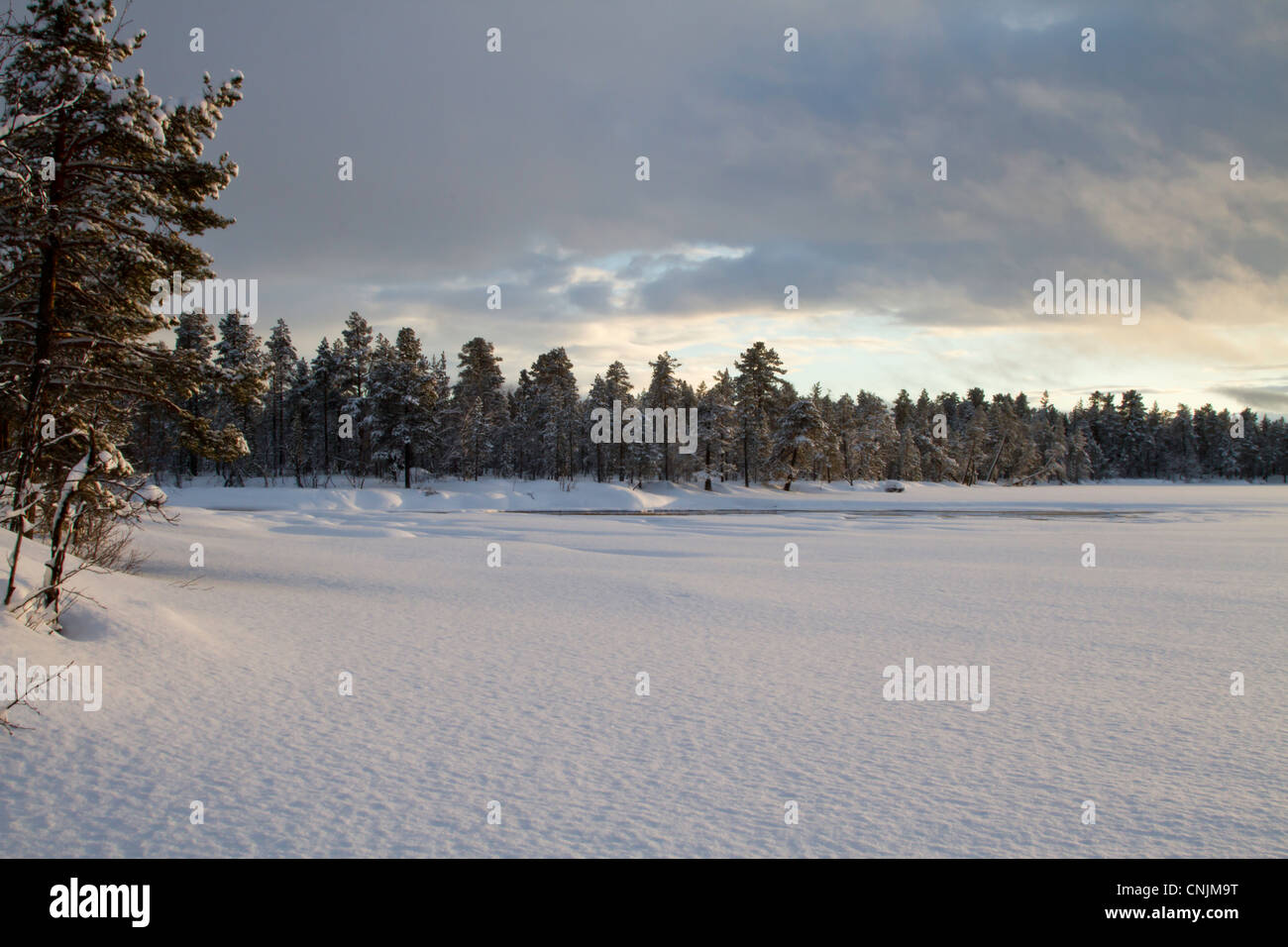 Christmas Scene, Forest around a frozen lake with snow on it.  Lapland, Northern Finland Stock Photo