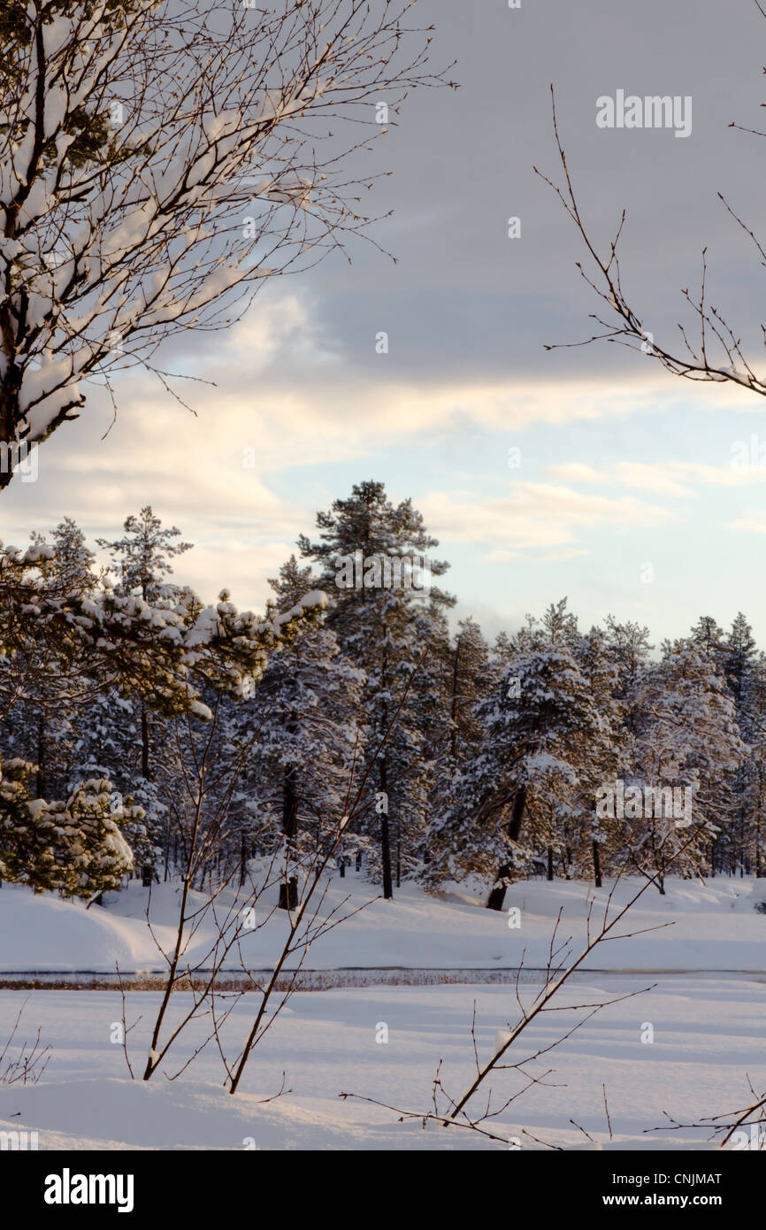 Fir trees and forest seen beyond a melting lake with water just seen through the ice. Stock Photo