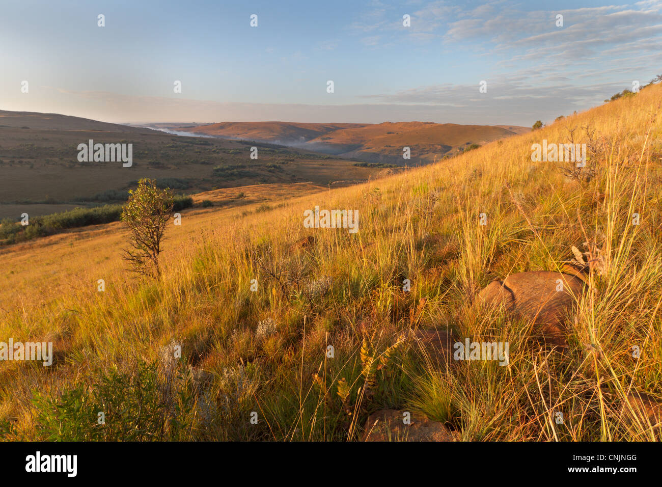 Lovely vista of rolling hills covered in mist on the South African Highlands Meander Stock Photo