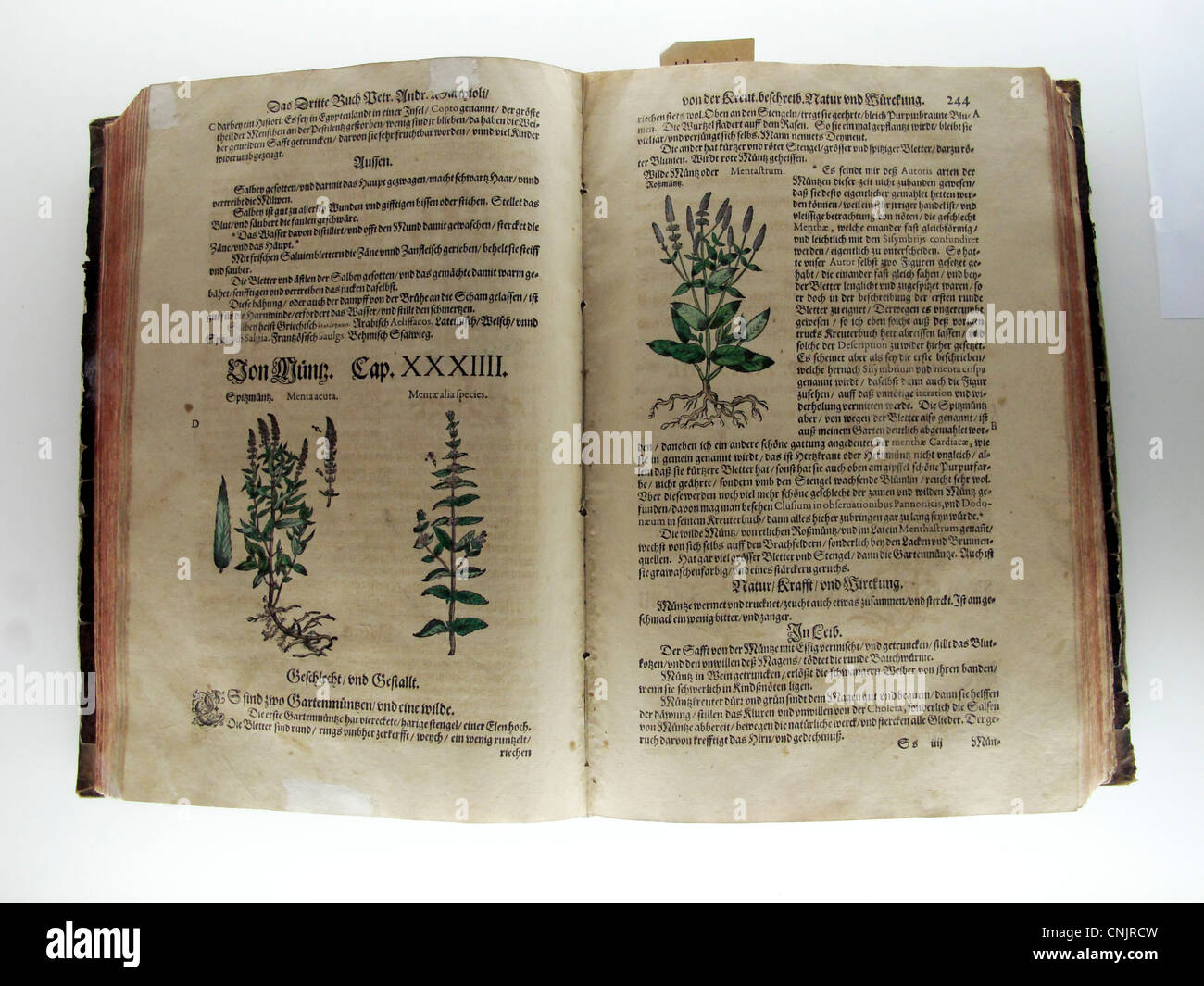 Nostalgic Herbal Plant medicine book Germany Munich German Museum Deutsches museum Stock Photo
