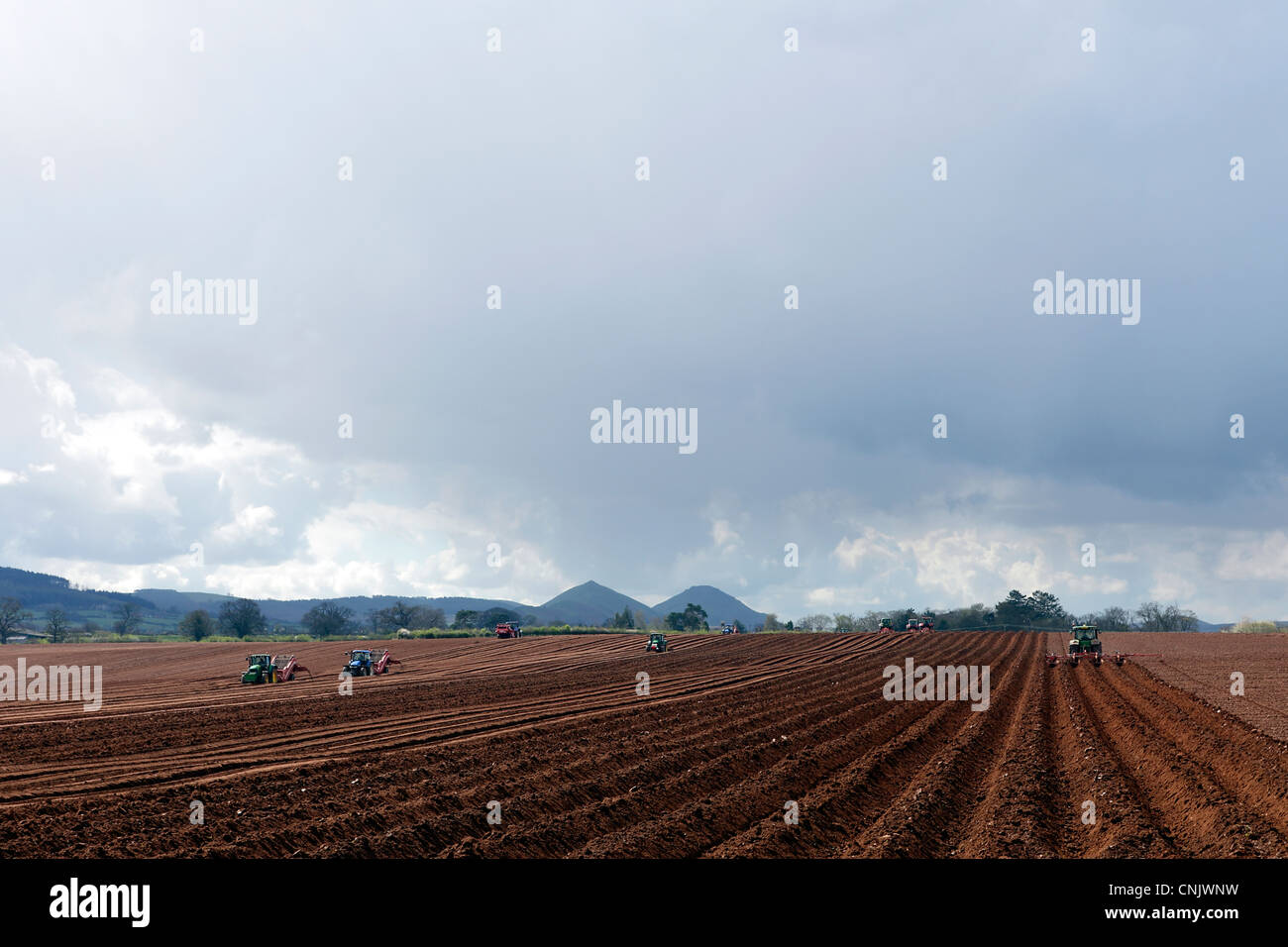Tractors seen in Shropshire farmland setting potato crops. Stock Photo