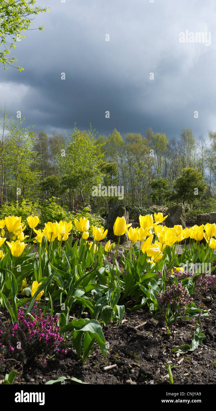 Stormy spring hi-res stock photography and images - Alamy