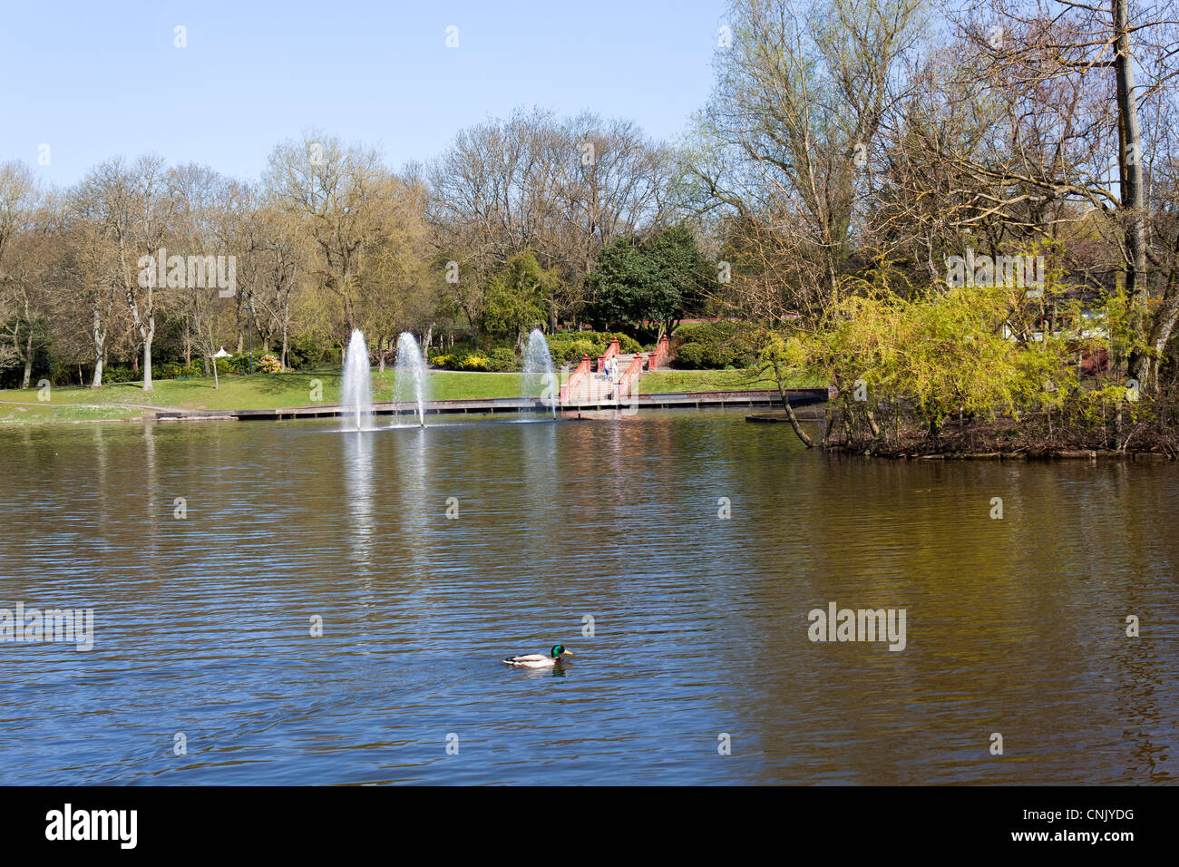 Fountains in the lake at Hanley park Stoke on Trent Stock Photo