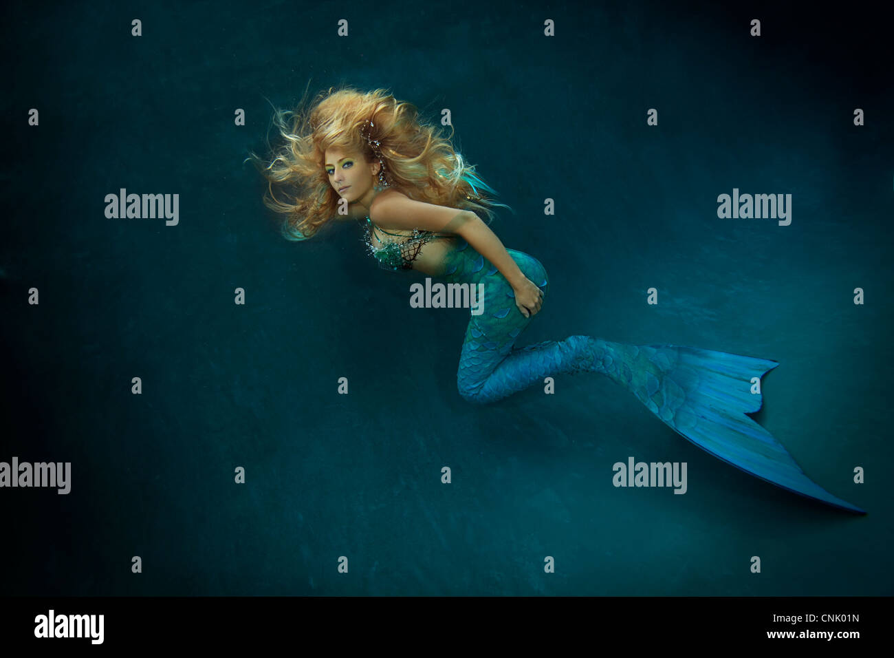 Blond mermaid swimming in pool, Virginia Beach, Virginia. Stock Photo