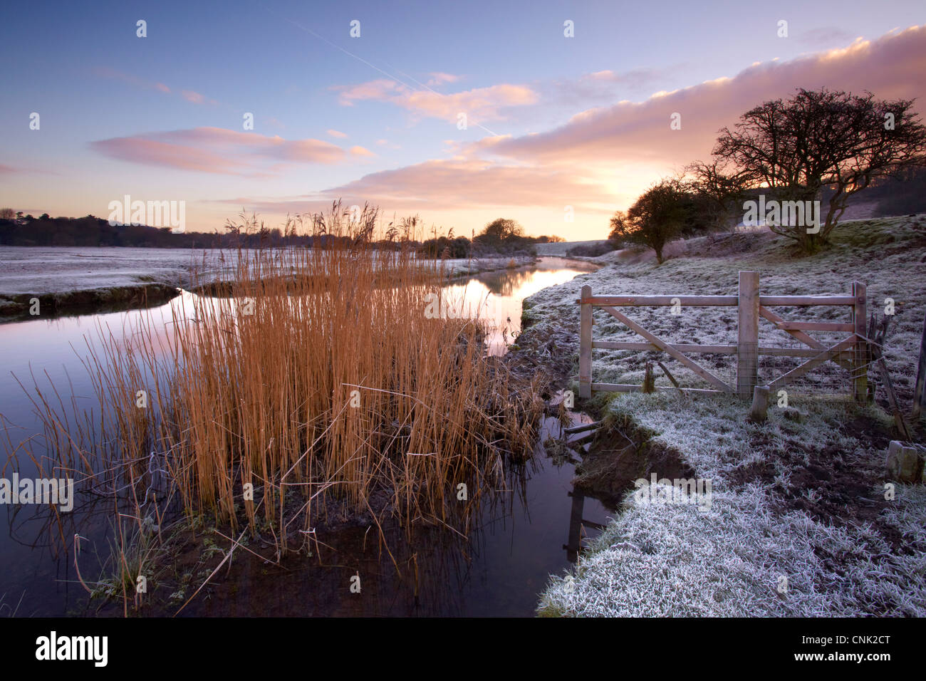 Ewenny River, near Ogmore Castle, Bridgend, South Wales, early morning
