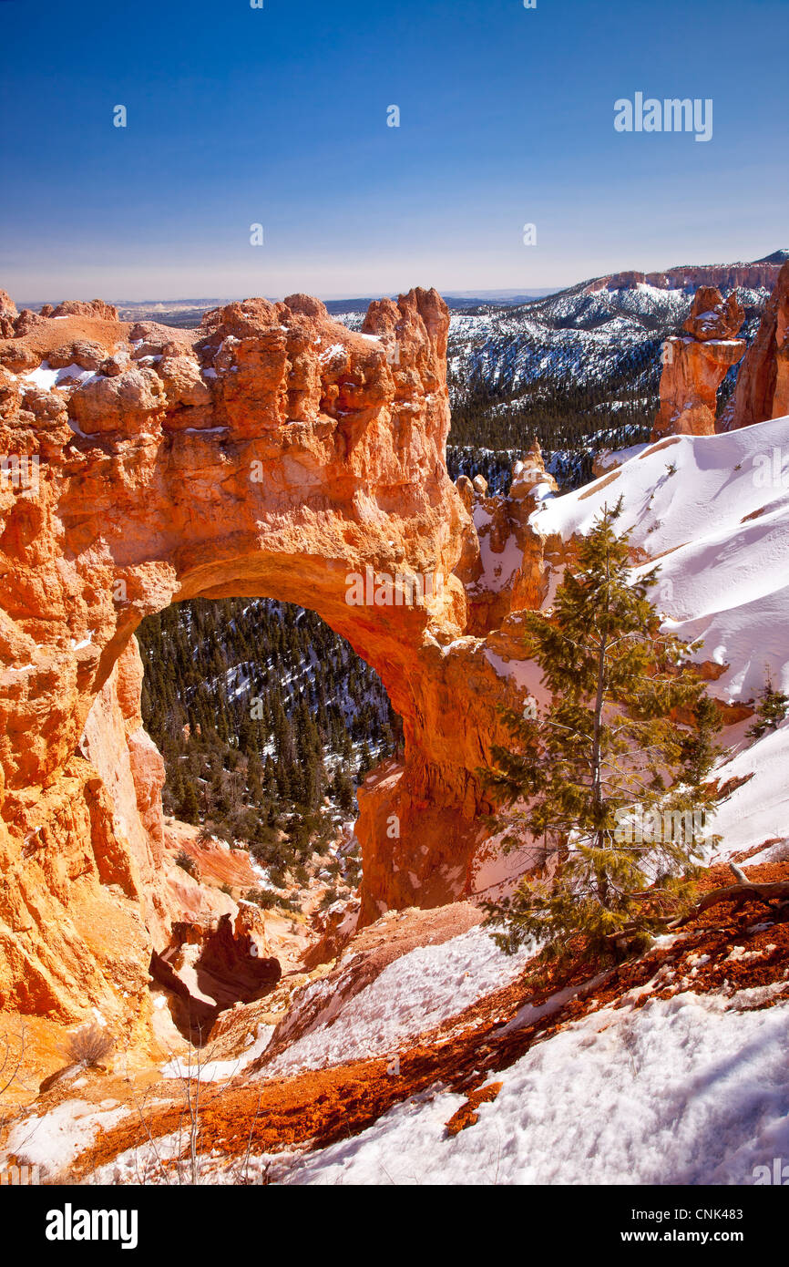 Natural Bridge rock formation, Bryce Canyon National Park, Utah USA