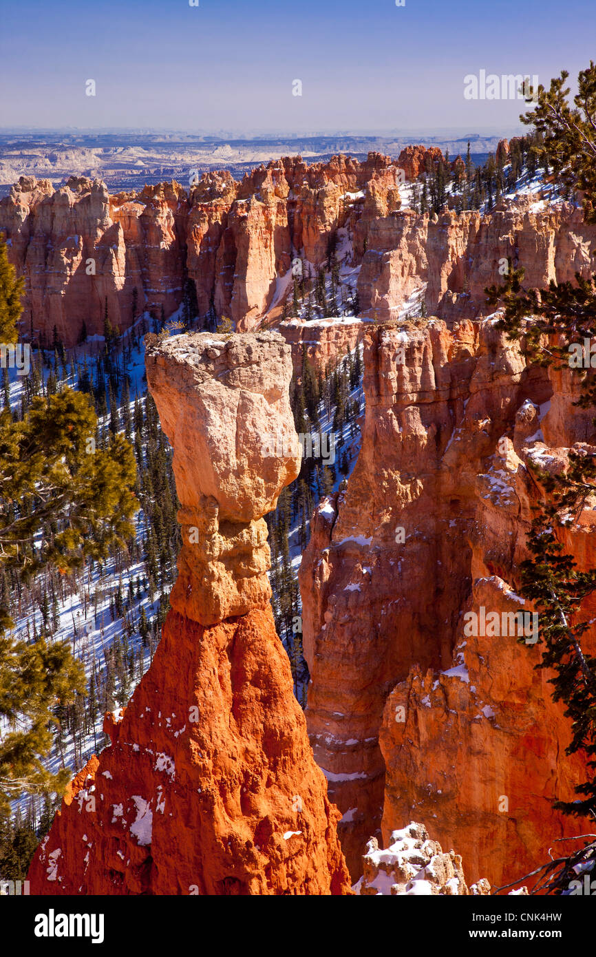 Rock formation - Hoodoo, in Aqua Canyon, Bryce Canyon National Park, Utah USA Stock Photo