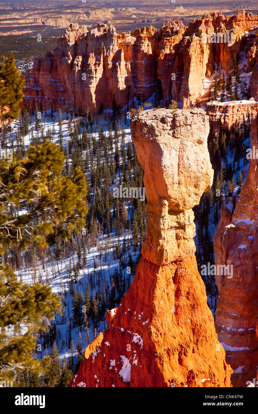 Rock formation - Hoodoo, in Aqua Canyon, Bryce Canyon National Park, Utah USA Stock Photo