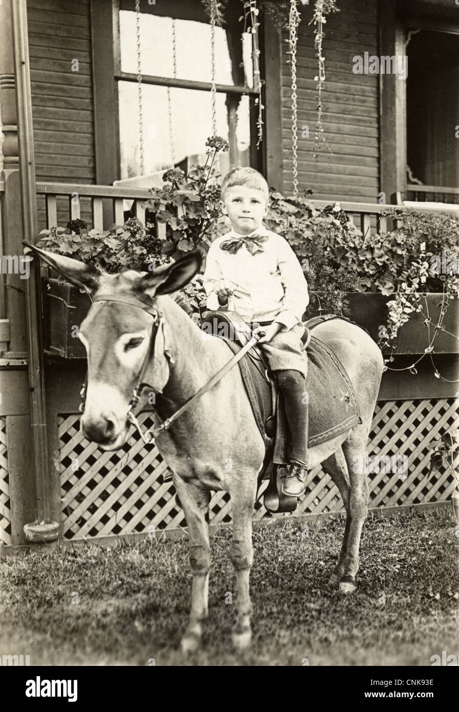 Little Boy Astride a Donkey at his House Stock Photo