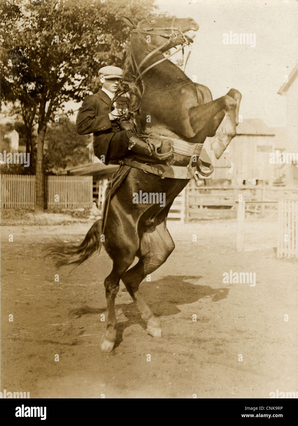 Rider Hanging Onto a Rearing Bronco Stock Photo